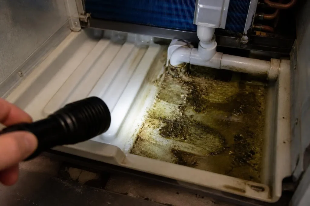 Drain pans are where fan coils go wrong: standing water, slime and leaks.