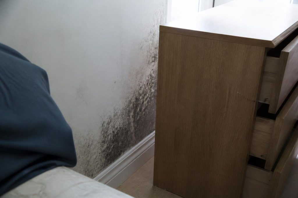 Mold tends to start on the coldest surfaces, where the air against the wall is far more humid than the room average.